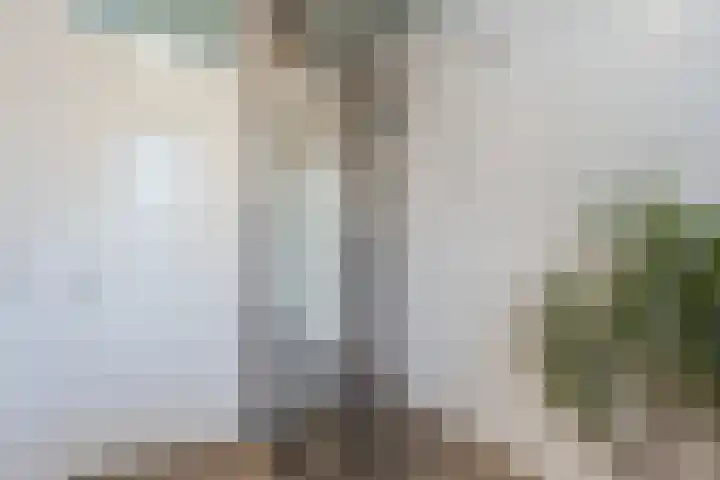 Biesdelselaan 7 a Velp thumbnail 29