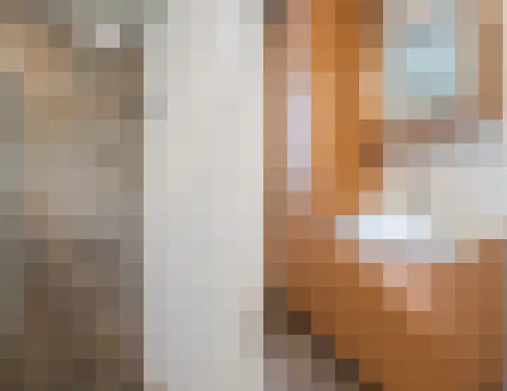 Biesdelselaan 7 a Velp thumbnail 30