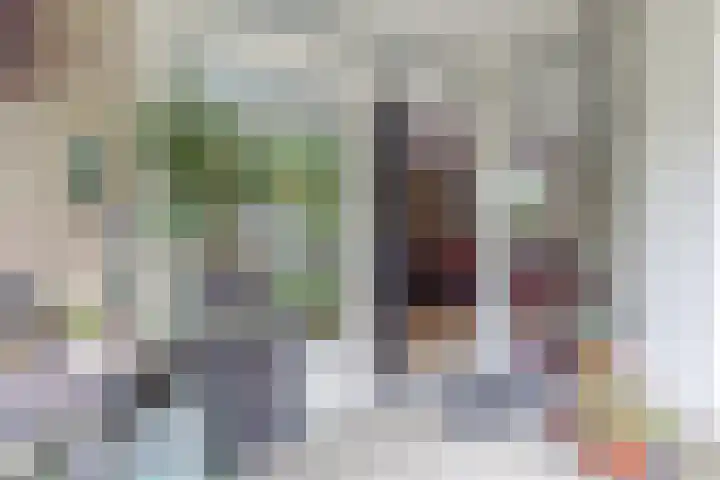 Biesdelselaan 7 a Velp thumbnail 31