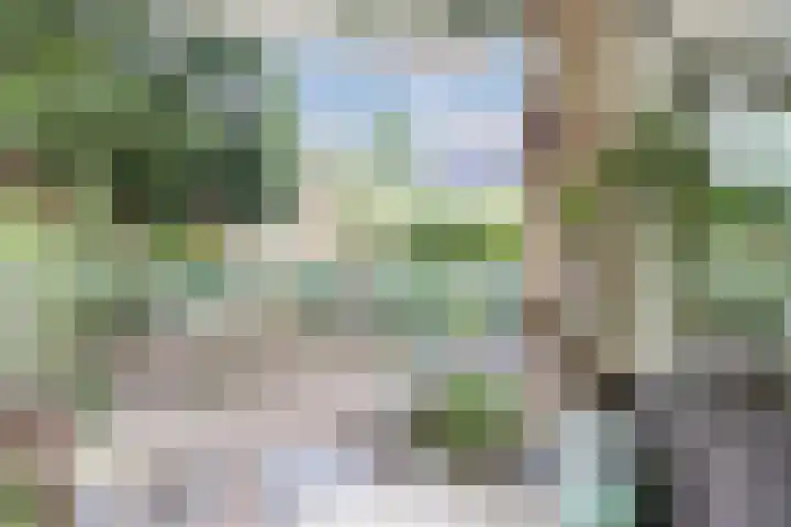 Biesdelselaan 7 a Velp thumbnail 32