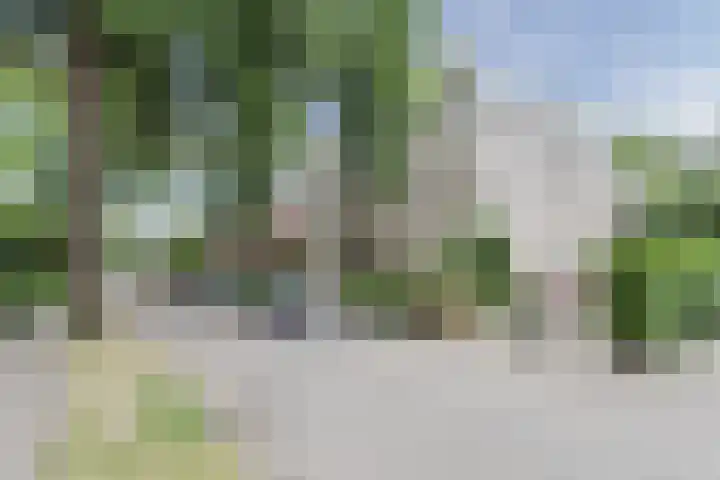 Biesdelselaan 7 a Velp thumbnail 35