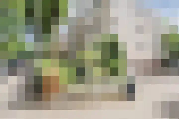 Biesdelselaan 7 a Velp thumbnail 36