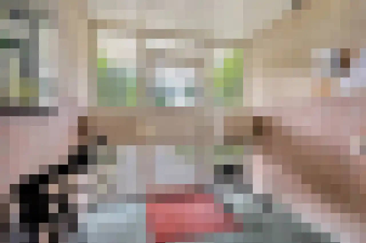 Biesdelselaan 7 e Velp thumbnail 12
