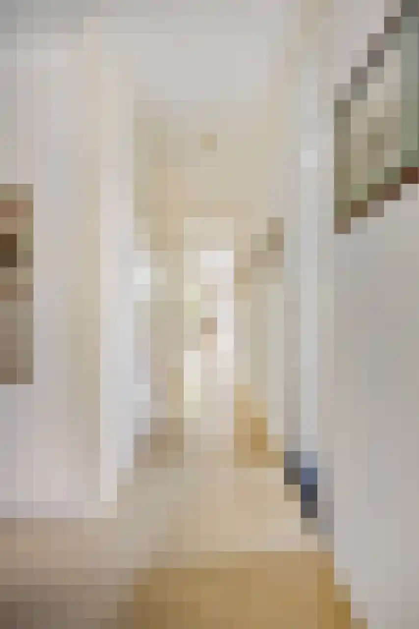 Biesdelselaan 7 e Velp thumbnail 16