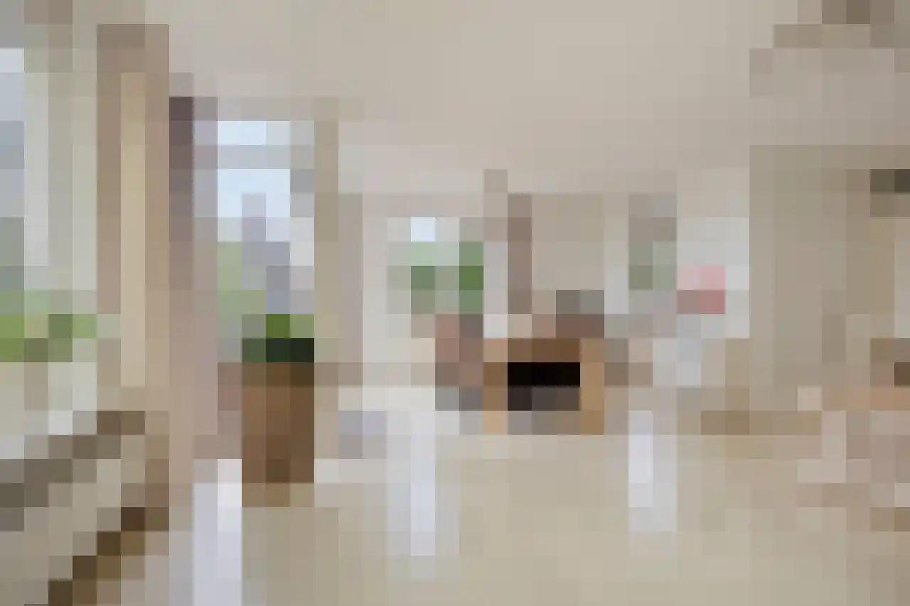 Biesdelselaan 7 e Velp thumbnail 23