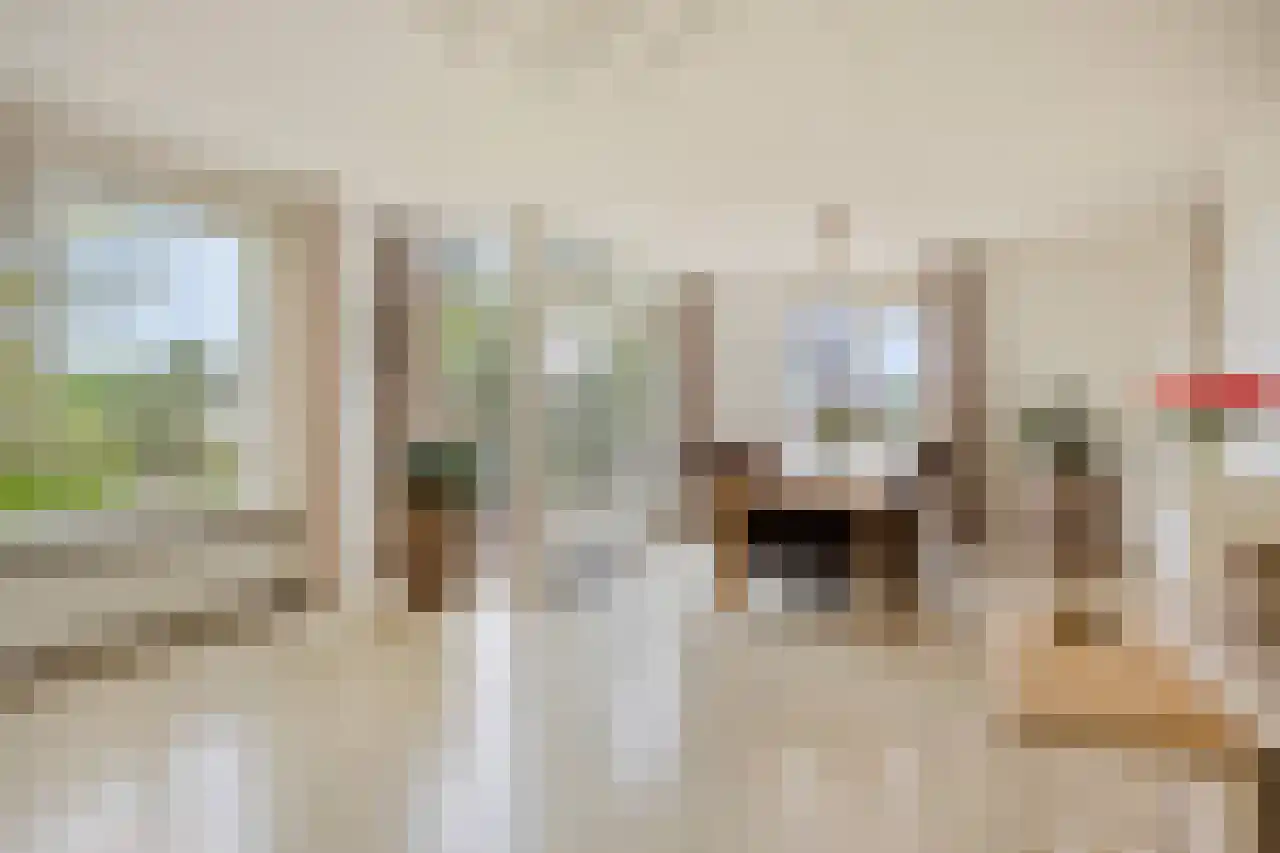 Biesdelselaan 7 e Velp thumbnail 24