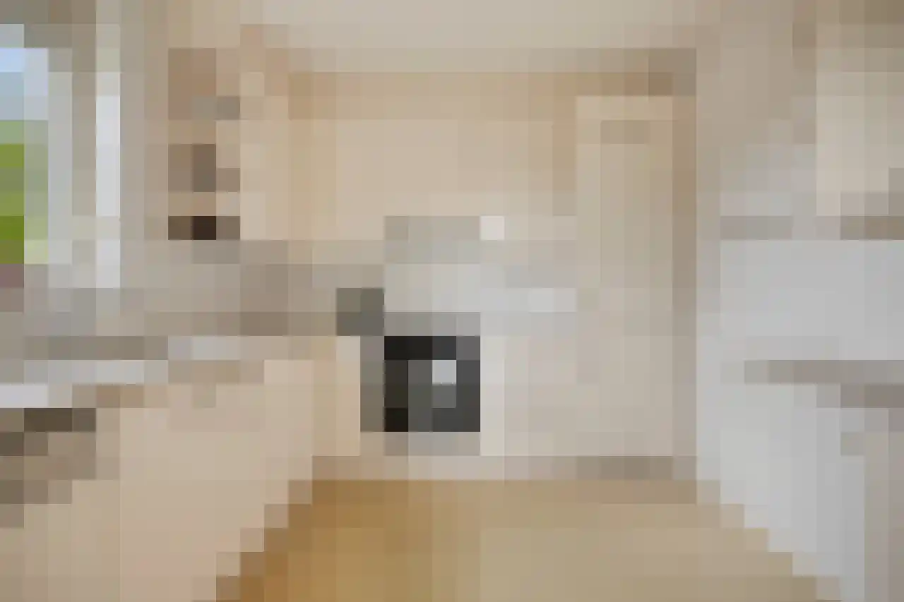 Biesdelselaan 7 e Velp thumbnail 26