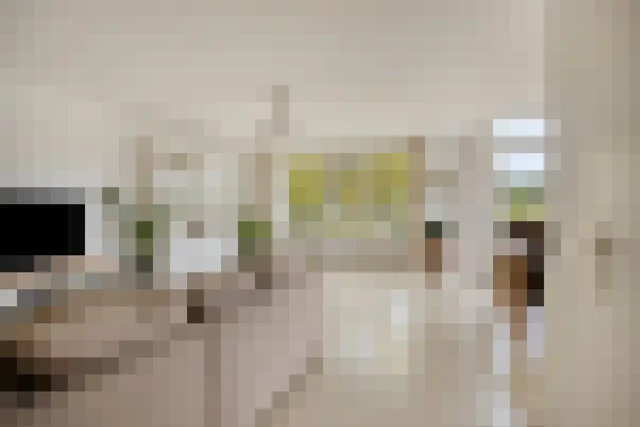 Biesdelselaan 7 e Velp foto 3