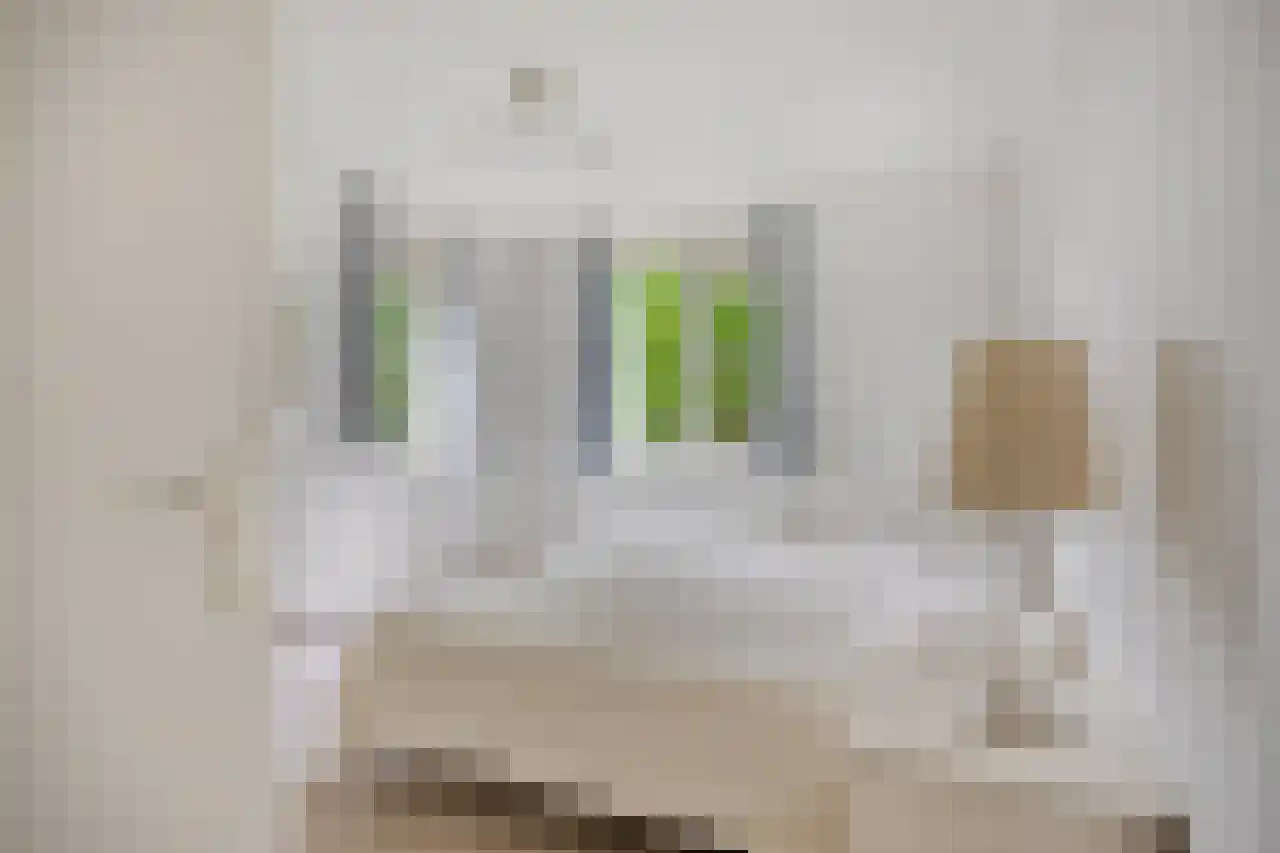 Biesdelselaan 7 e Velp thumbnail 30