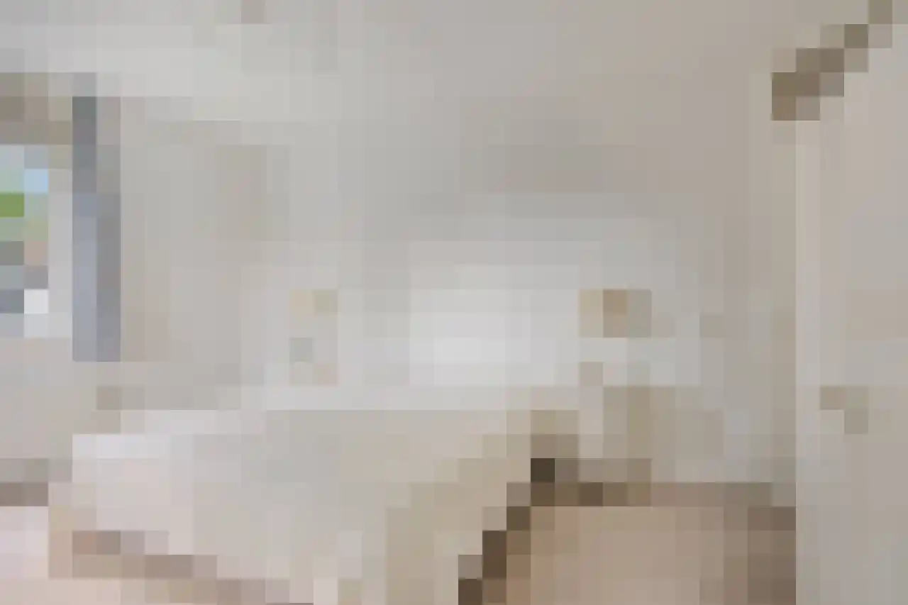 Biesdelselaan 7 e Velp thumbnail 32