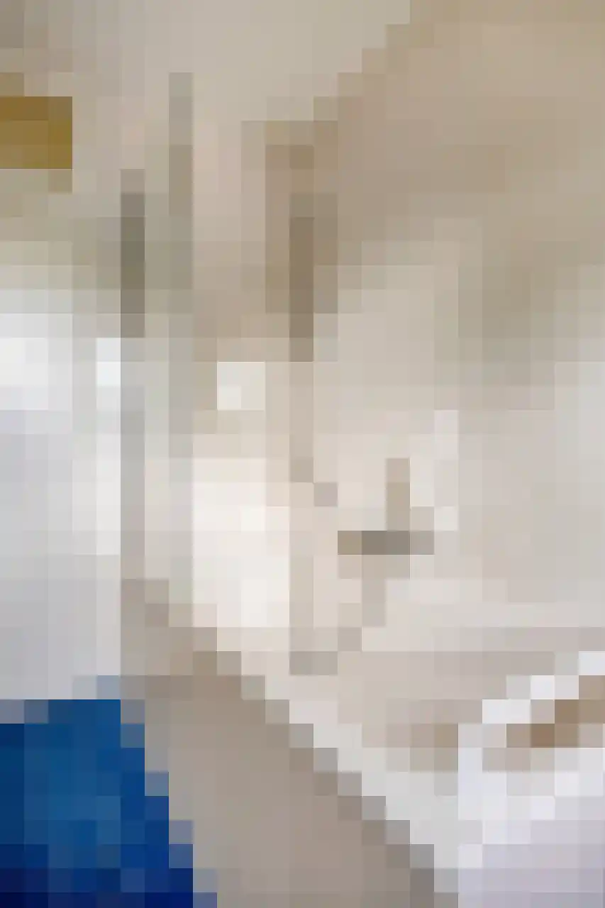 Biesdelselaan 7 e Velp thumbnail 39