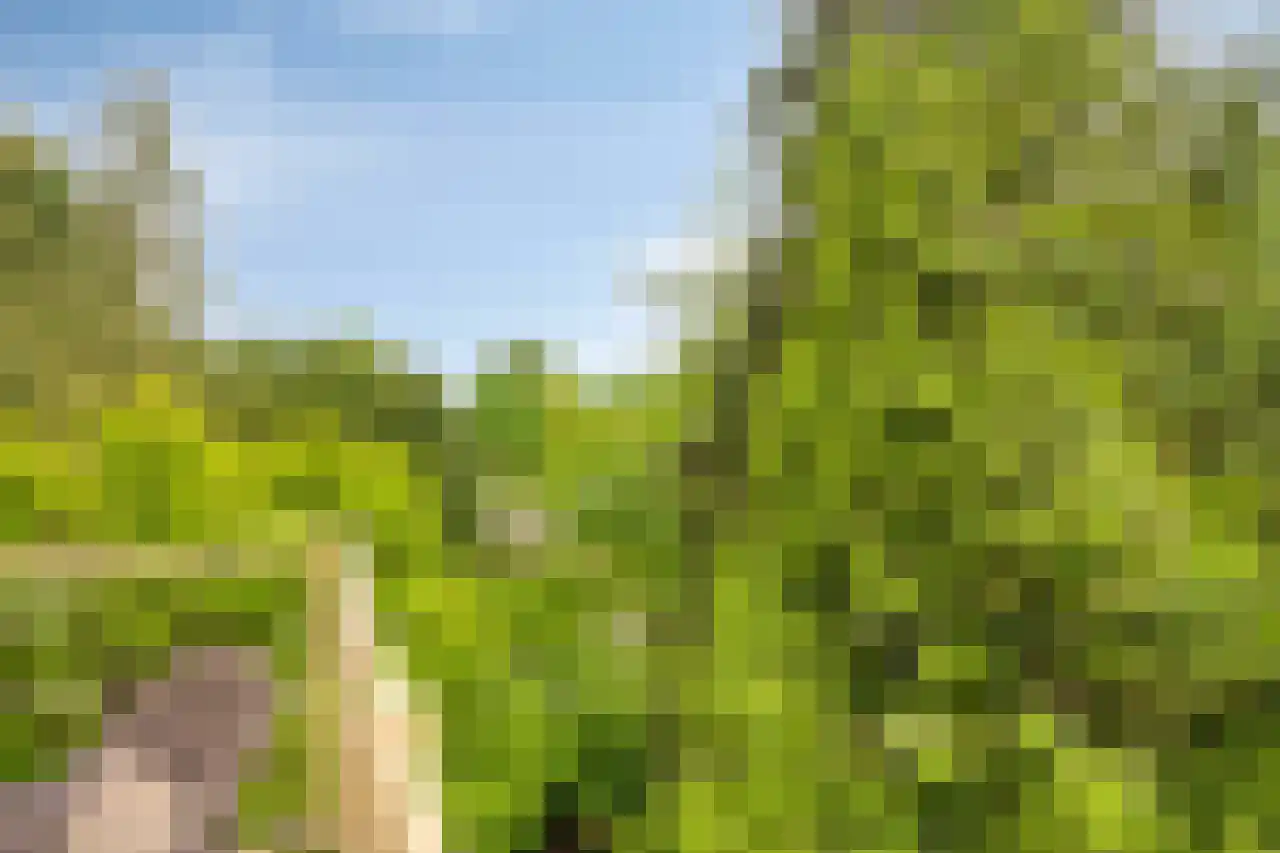 Biesdelselaan 7 e Velp thumbnail 46
