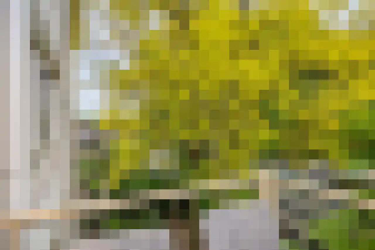 Biesdelselaan 7 e Velp thumbnail 47