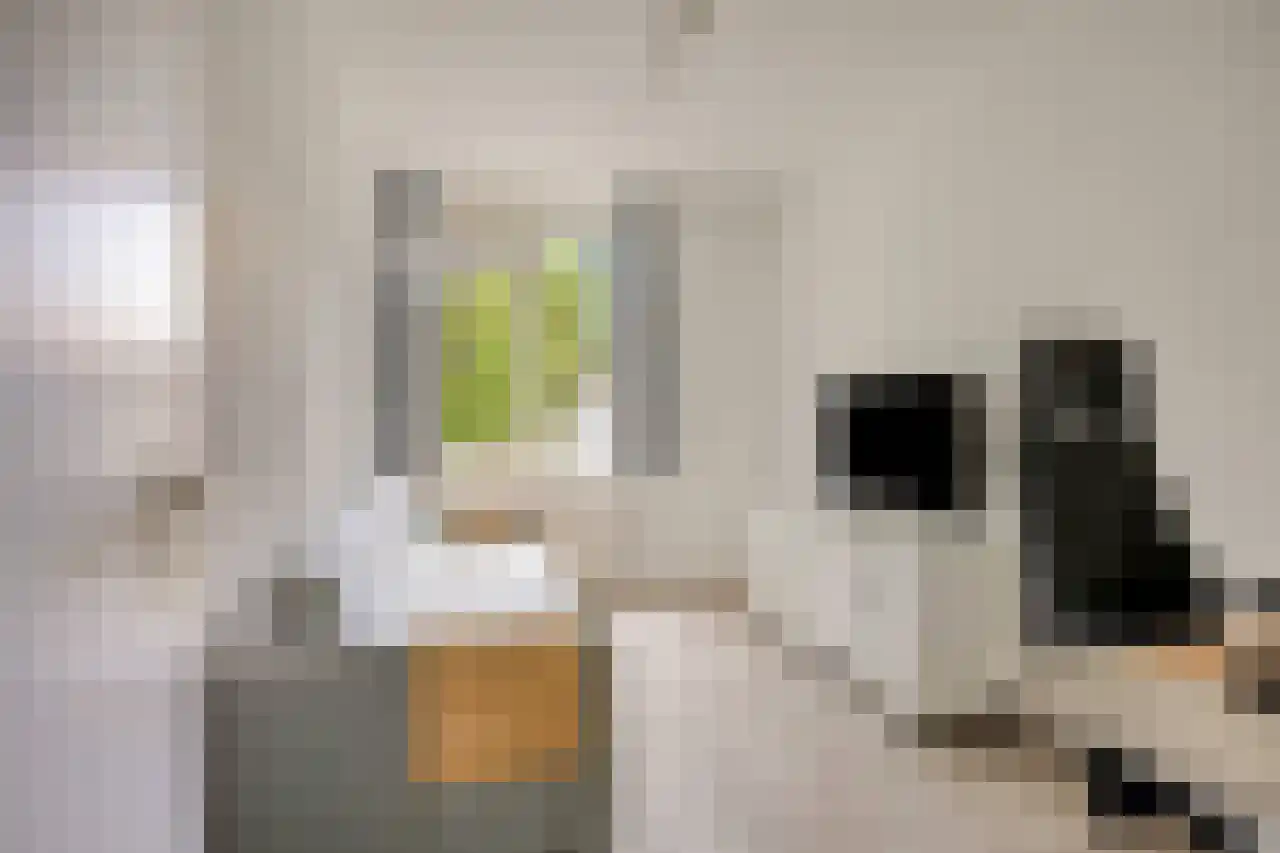 Biesdelselaan 7 e Velp thumbnail 5