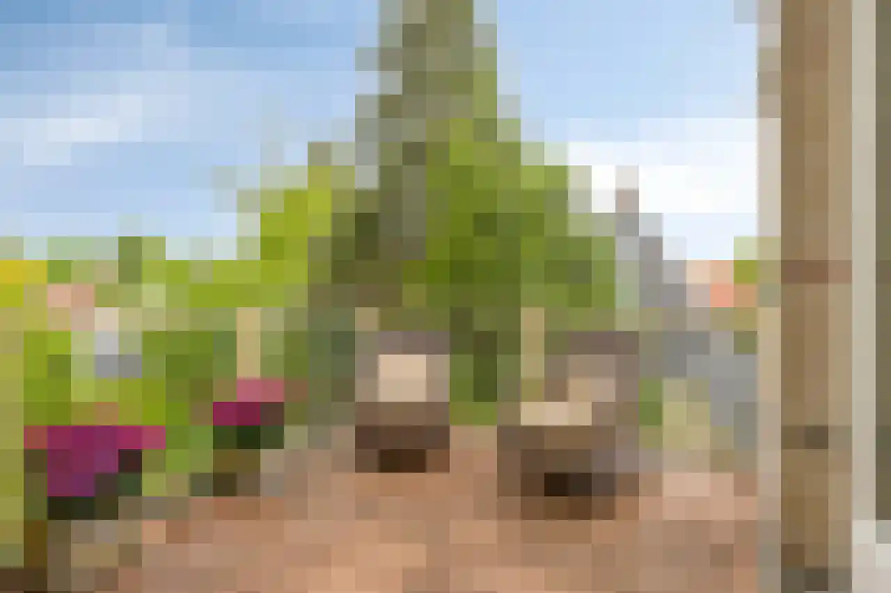 Biesdelselaan 7 e Velp thumbnail 6