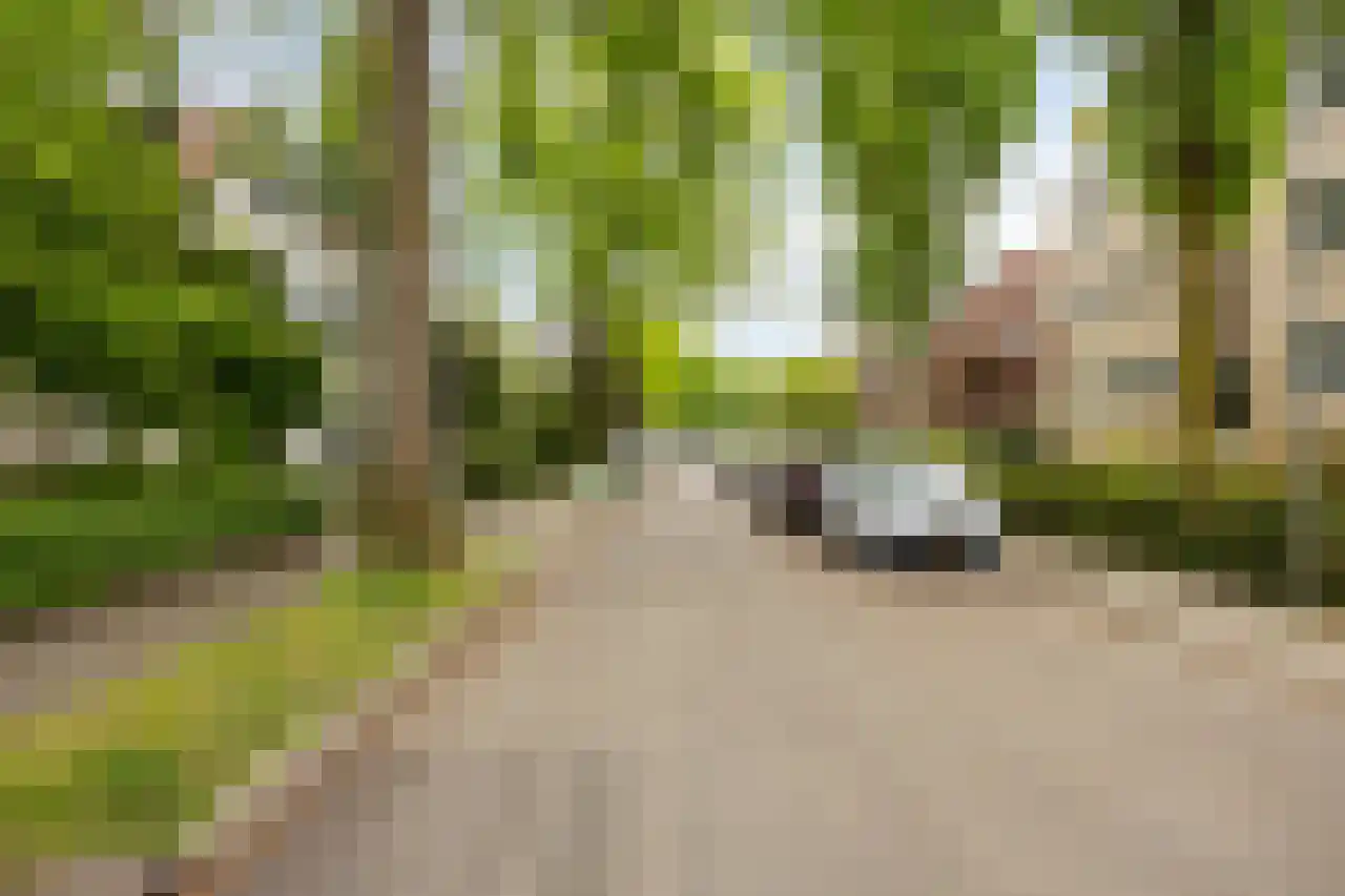 Biesdelselaan 7 e Velp thumbnail 9