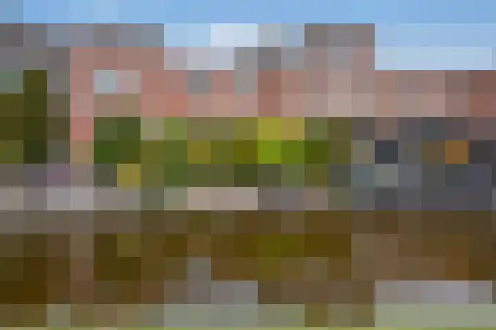 Bieseiland 11 in Rijswijk