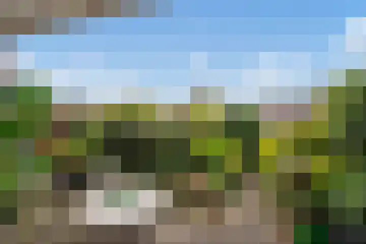 Bieseiland 11 Rijswijk thumbnail 12