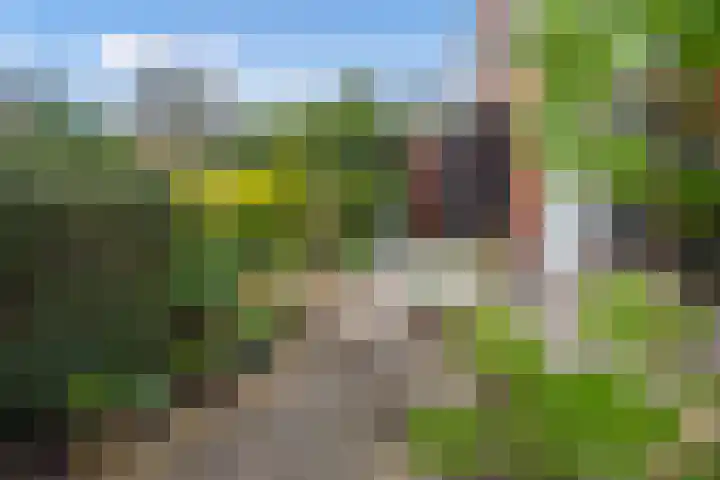 Bieseiland 11 Rijswijk thumbnail 13