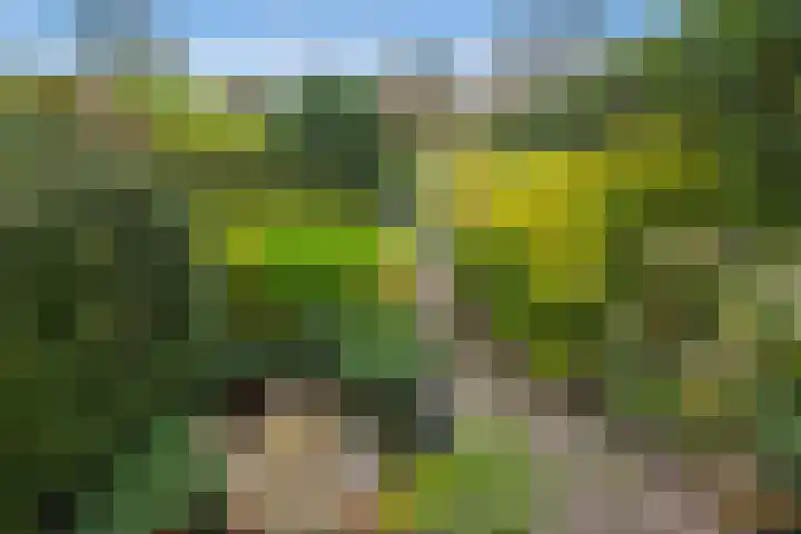 Bieseiland 11 Rijswijk thumbnail 14