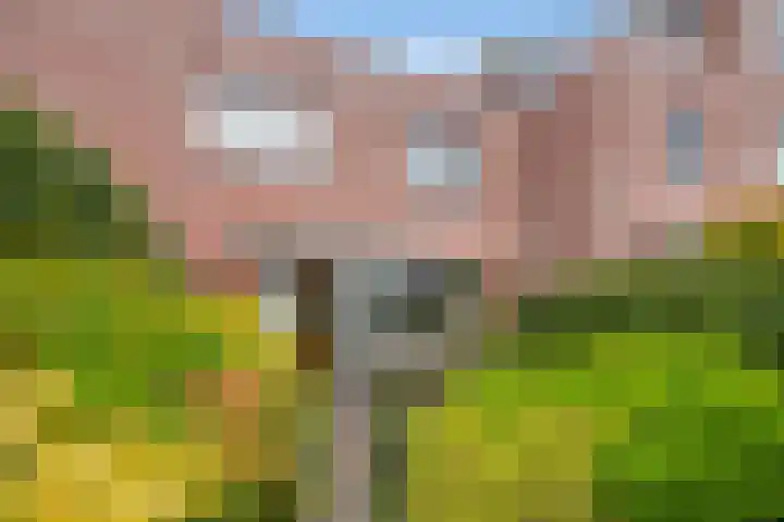 Bieseiland 11 Rijswijk thumbnail 15