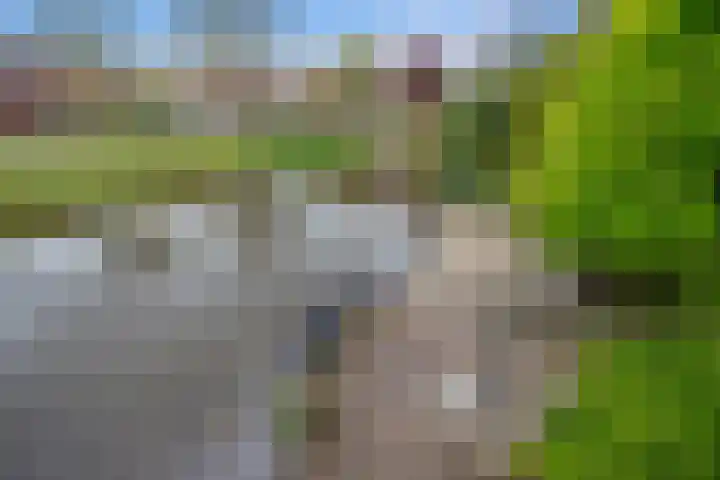 Bieseiland 11 Rijswijk thumbnail 18