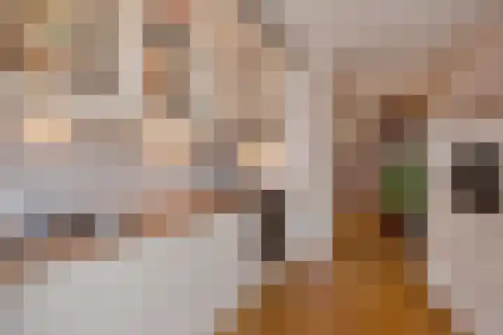 Bieseiland 11 Rijswijk thumbnail 23