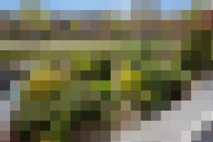Bieseiland 11 Rijswijk thumbnail 30