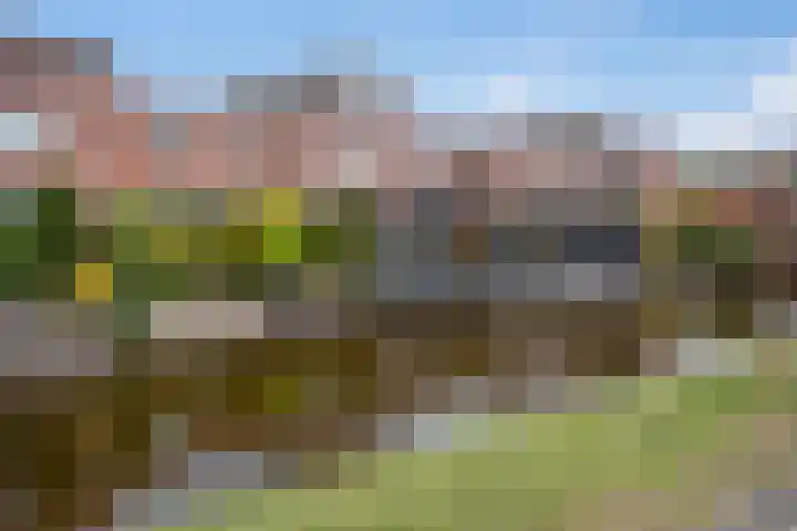 Bieseiland 11 Rijswijk thumbnail 37