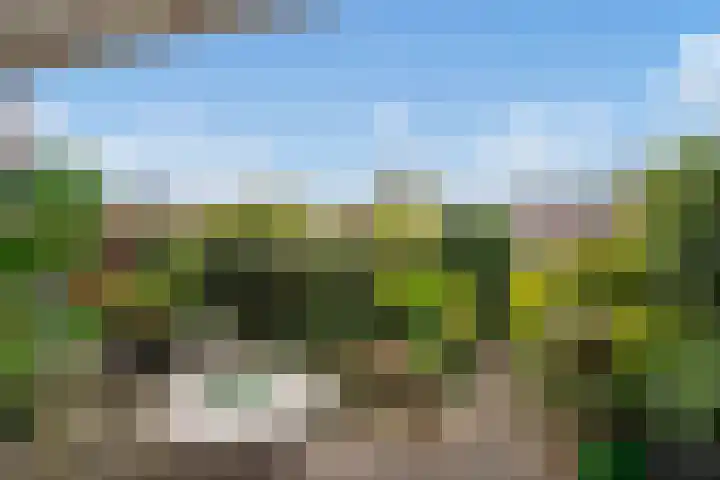 Bieseiland 11 Rijswijk thumbnail 4