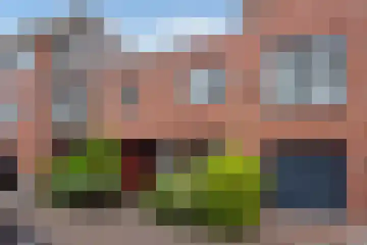 Bieseiland 11 Rijswijk thumbnail 6