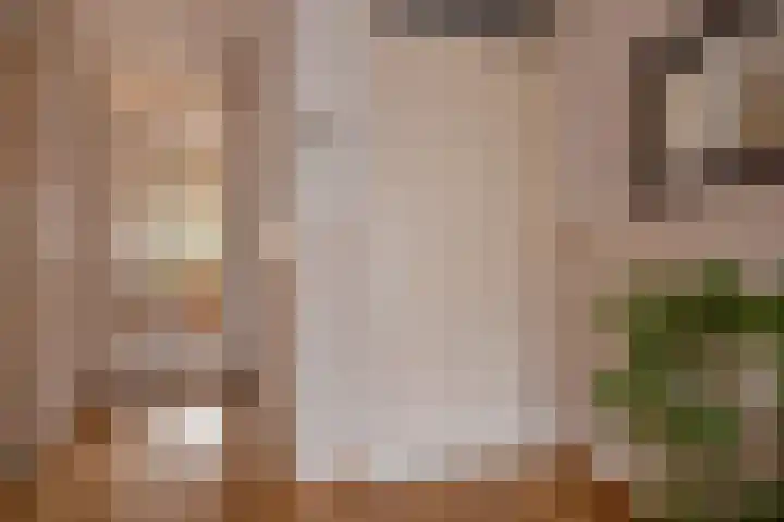 Bieseiland 11 Rijswijk thumbnail 8