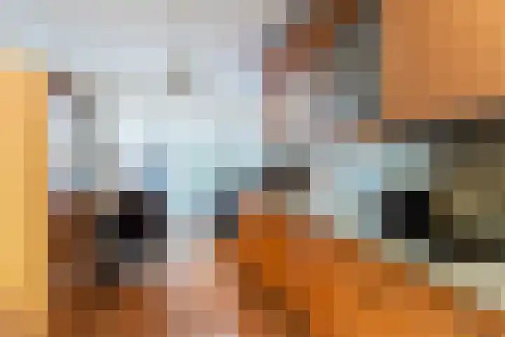 Bieseiland 12 Rijswijk thumbnail 12