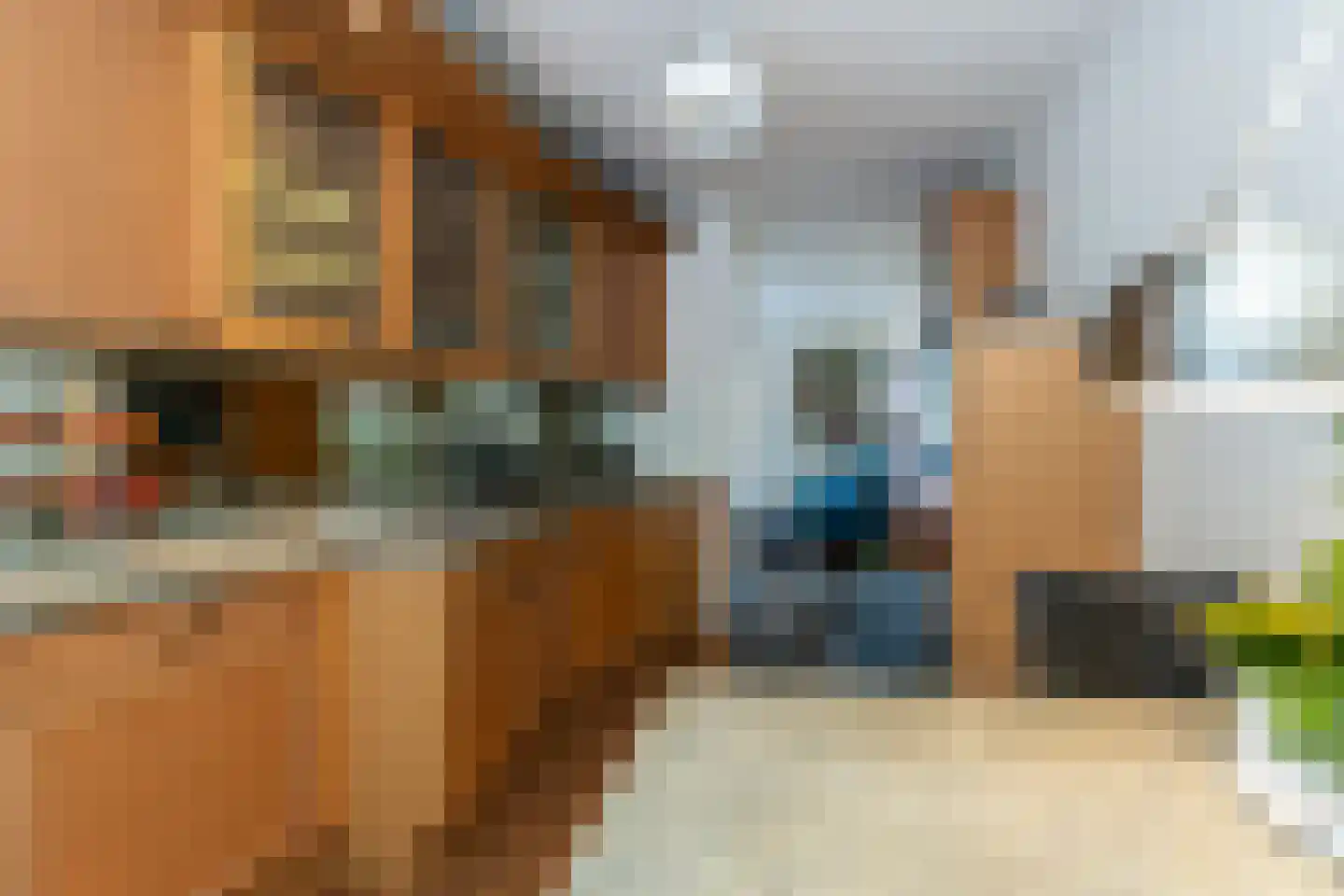 Bieseiland 12 Rijswijk thumbnail 12