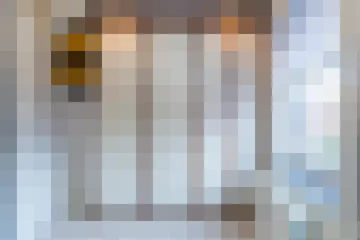 Bieseiland 12 Rijswijk thumbnail 24
