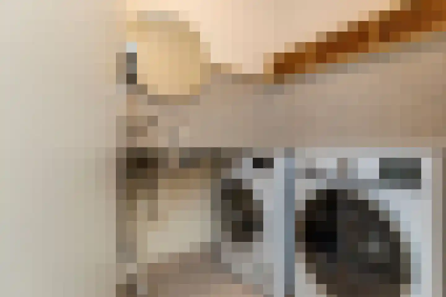 Bieseiland 12 Rijswijk thumbnail 28