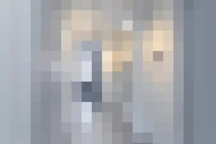 Bieseiland 12 Rijswijk thumbnail 28