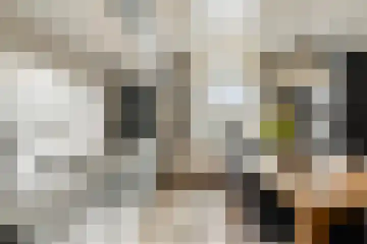 Bieseiland 12 Rijswijk thumbnail 34