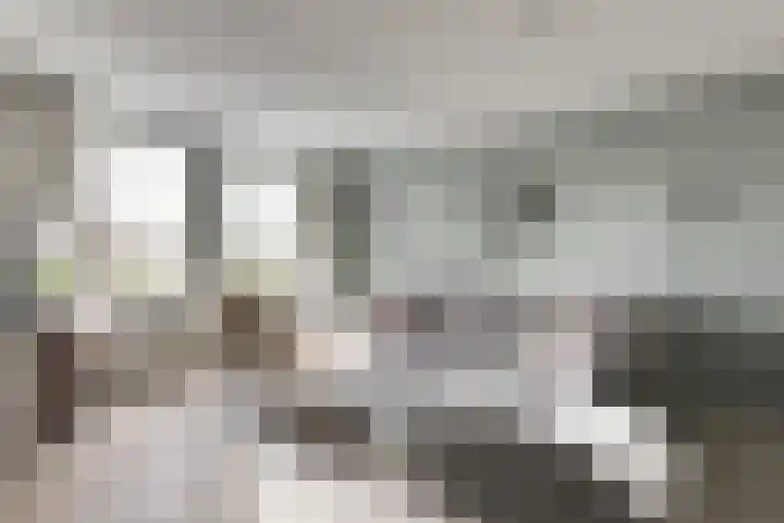 Bieselaar 26 's Gravenmoer thumbnail 10