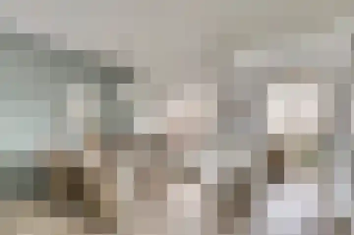 Bieselaar 26 's Gravenmoer thumbnail 13