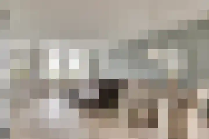 Bieselaar 26 's Gravenmoer thumbnail 14