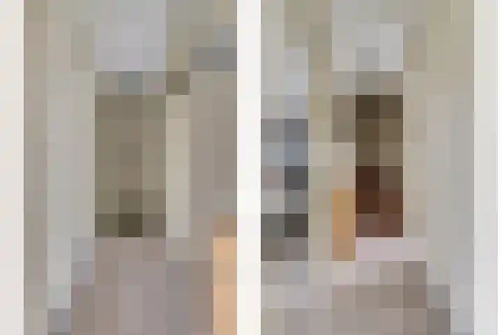 Bieselaar 26 's Gravenmoer thumbnail 18