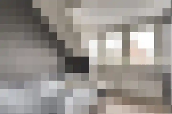 Bieselaar 26 's Gravenmoer thumbnail 24