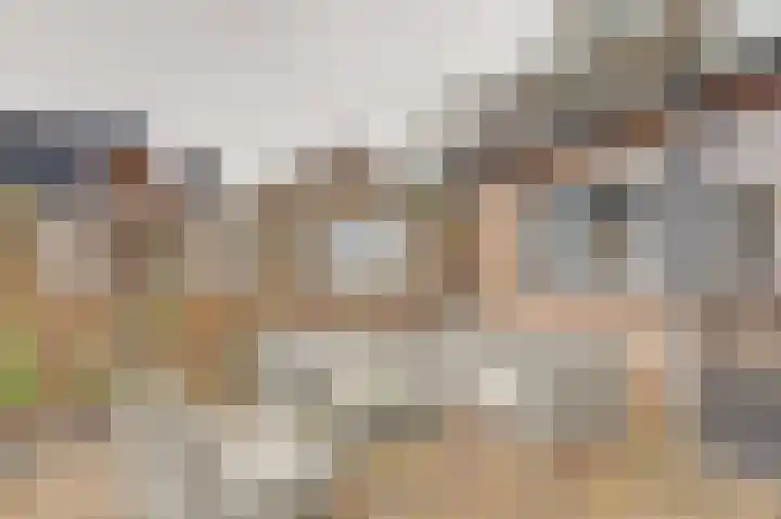 Bieselaar 26 's Gravenmoer thumbnail 33