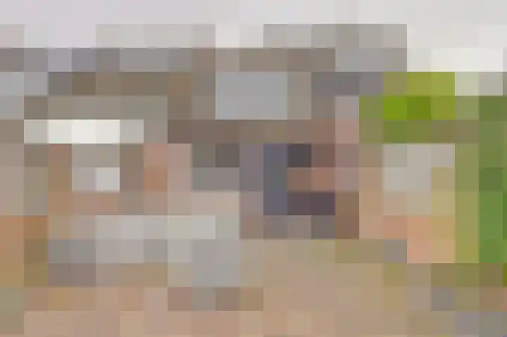 Bieselaar 26 's Gravenmoer thumbnail 35