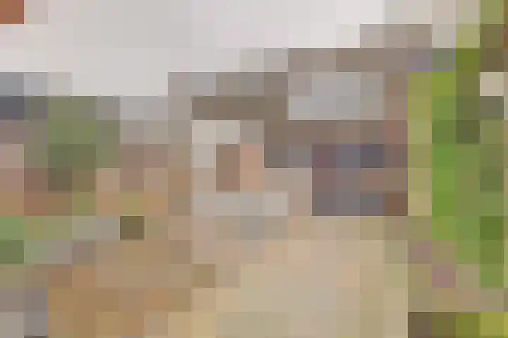Bieselaar 26 's Gravenmoer thumbnail 36