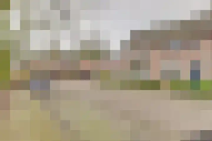 Bieselaar 26 's Gravenmoer thumbnail 40