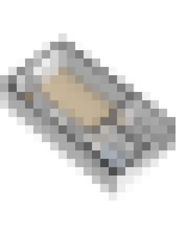 Bieselaar 26 's Gravenmoer thumbnail 47