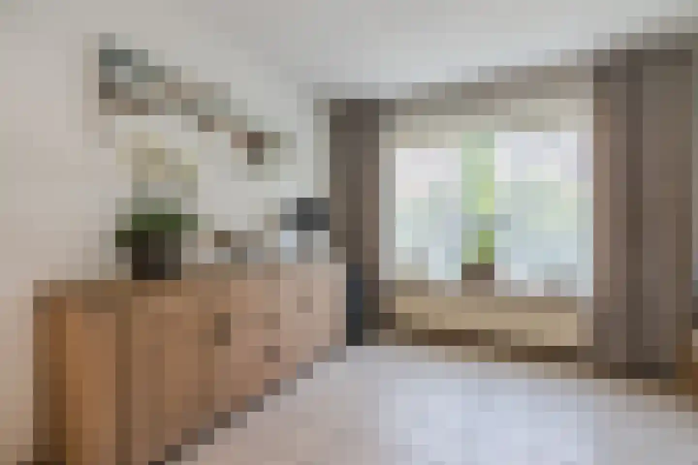 Bieselaar 55 's Gravenmoer thumbnail 13