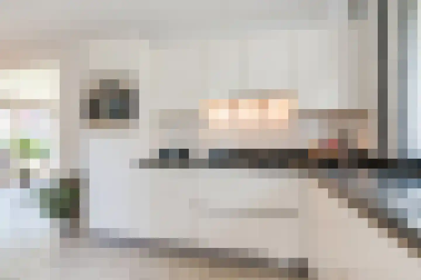 Bieselaar 55 's Gravenmoer thumbnail 18